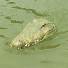 Flytande krokodilhuvud, leksaksbåt med imitationshuvud Crocodile Flytec V002 2.4g