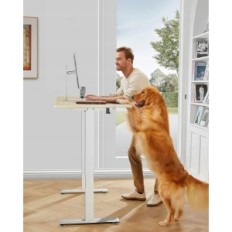 Uma mesa de pé com um ajuste de altura elétrica ergear, 122 x 61 cm