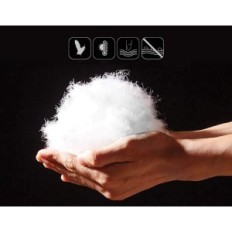 Down couette APSMILE 200 x 200 cm 380 g / m², couleur blanche, 100% coton