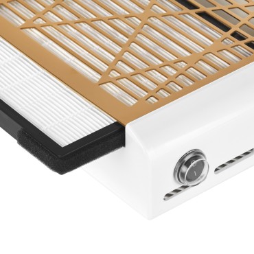 Momo J-23 Gold Kassetten Staubabsauger — Detailaufnahme Bedienelemente