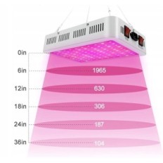 LED Full Spectrum Nailgirls 3F1000, 1000W A +++ 3850 Lux
