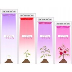 LED FULL SPECTRUM NAILIGIRLS 3F1000, 1000W A +++ 3850 LUX