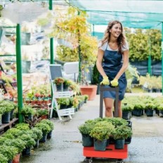 Sulankstymo vežimėlio bagažo kosmosas SPKHTOR, iki 220 kg, raudona