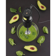 Effektiv håndholdt blenderblander med 250W hastighedsjustering Hendi 222157