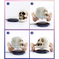 Levitating Magnetic Skull Jowhol with LED lighting