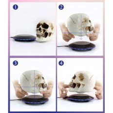 Levitating Magnetic Skull Jowhol with LED lighting