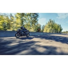 Staator + Hooratas + Regulaator + Artudatech Oil tihend jaoks Yamaha