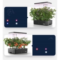 IDOO Smart Garden ID-IG301S Wi-Fi Plant Lamp, 12 kapselia, 36 W