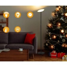 Lampe de sol Outon 30W 2400 lm 176 cm, avec télécommande, noir