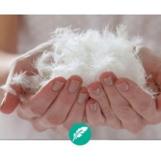 Apsmile di trapunta di cotone con fluff e piume 240 x 260 cm 320 g / m2, bianco