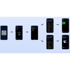 LED projektor T-Sunus TS-F42100-RGBCW, RGB, WiFi, IP66, 100W, 2 tk.