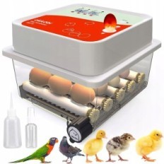 Incubatore automatico Okkobi per 12 uova per galline, anatre e altri
