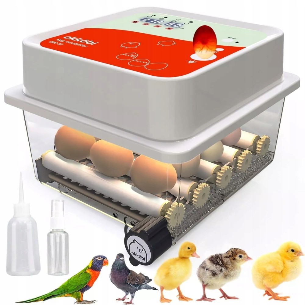 Automatischer Inkubator Okkobi für 12 Eier für Hühner, Enten und andere