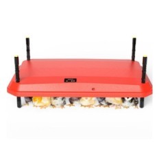 Plaadi soojenduslamp Korv Chicks 220 / 110В 41x61cm