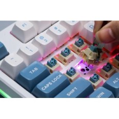 Mechanical EPOMAKER EPOMAKER GAME GAME BT5.0 / 2.4G / USB-C 10000MAH RGB