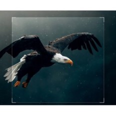 Lovačka kamera Fotoplast IZizEEKR IG200, 4K 30FPS 48MP s 32GB i 4AA