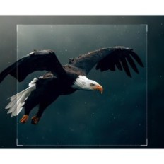 Gebrauchte Photopulant, Izeeker IG400 4K30FPS-Kamera-Kamera für Wildlife- und Sicherheitsüberwachung