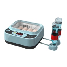 Incubateur automatique pour 12 œufs avec alimentation 12V et 220V avec contrôle de la température numérique et oeufs tournants