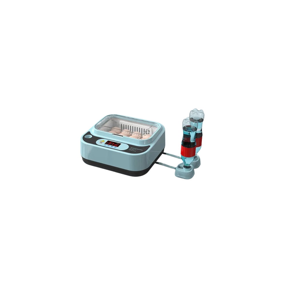 Incubadora automática para 12 huevos con fuente de alimentación de 12V y 220V con control de temperatura digital y huevos girato