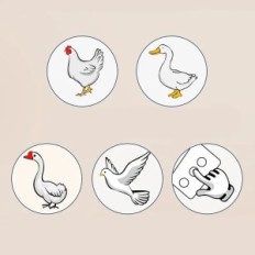 Automatisk inkubator for 12 egg med 12V og 220V strømforsyning med digital temperaturkontroll og roterende egg