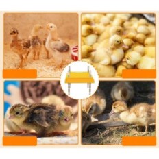 Aquecedor para Longzhuo FG-25 AC220 Chick, 10 x 25 cm, até 55 ° C