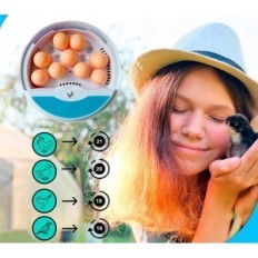 Incubatore per uova Chikers con controllo della temperatura e dell'umidità (9 uova)