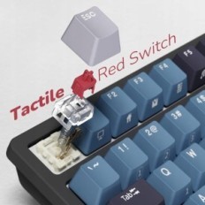 Mechanische Tastatur Royal Kgelded RK98, 2.4G / BT5.1 / USB-C, RGB, 3750 mAh