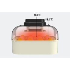 Inkubator for Hethya egg, temperatur og fuktighetskontroll, for 16 egg