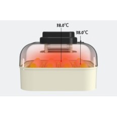 Incubator voor HETHYA-eieren, temperatuur- en vochtigheidsregeling, voor 16 eieren