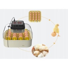 Inkubator for Hethya egg, temperatur og fuktighetskontroll, for 16 egg