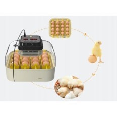 Inkubator for Hethya egg, temperatur og fuktighetskontroll, for 16 egg