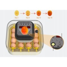 Inkubator for Hethya egg, temperatur og fuktighetskontroll, for 16 egg