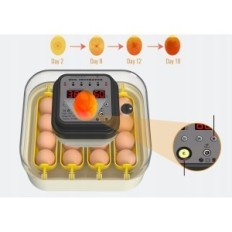 Inkubator for Hethya egg, temperatur og fuktighetskontroll, for 16 egg