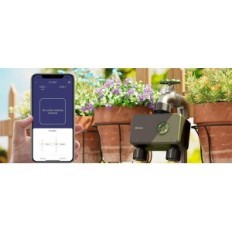 Wat-09w vand vand vand intelligent international