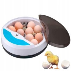 Incubator for eggs chikers with temperature and humidity control (9 eggs) used