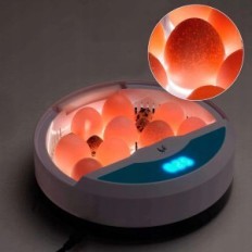 Incubateur pour œufs Chikers avec contrôle de température et d'humidité (9 œufs) utilisés