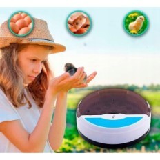 Incubatrice per uova Chikers con controllo della temperatura e umidità (9 uova) utilizzati