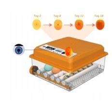 Incubator HETHYA EFX-16 AC220V DC12V 30W 50-60HZ automatisch, voor 12-16 eieren