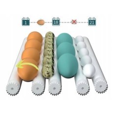 Incubadora Hethya EFX-16 AC220V DC12V 30W 50-60Hz automático, para 12-16 ovos