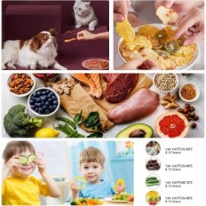 Asciugatrice ortofrutticole, 400 W, Dewers, 8 ripiani, 35-70 ° C