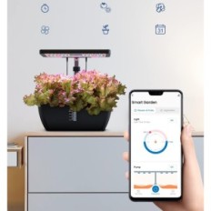 Ida ID-Ig302S WiFi ja 12 kapslit, 6,5 L, 30 x 39 x 20 cm