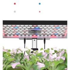 IDOO ID-IG302S WiFi a 12 kapsúl, 6,5 l, 30 x 39 x 20 cm