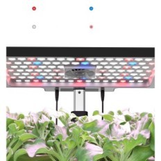 Ida ID-Ig302S WiFi ja 12 kapslit, 6,5 L, 30 x 39 x 20 cm