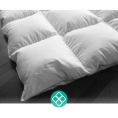 Quee APSMILE ALL-AN, 135 x 200 cm, avec fil d'oie et plumes, blanc