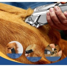 Μεταχειρισμένο μηχάνημα για διάτμηση Oneisall 2 σε 1, για παχύ μαλλί