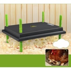 Chauffage pour poulet Pluthiker 30W, 30x40 cm