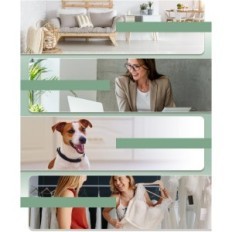 Aromatisk luftdiffusor MXMoonant, oljekåpa 130 ml, används