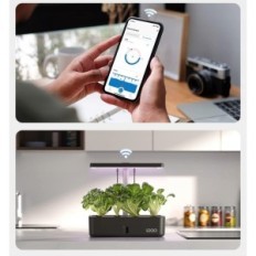 Idoo ID-IG-301S-BK WiFi sistema hidropônico, 12 cápsulas, para plantas em crescimento