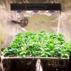 LED lemputė GARPSEN CREE COB GA-3000 3 W