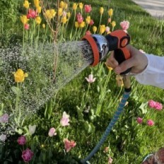 Roseview 60 m Tubo del giardino con una pistola antiamortamento, usata